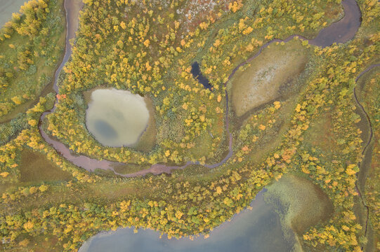Autumn wetland and winding streams from directly above