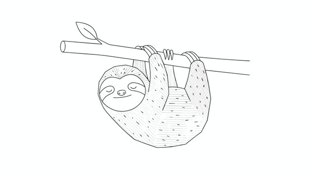 Cute hand-drawn cartoon sloth sleeping peacefully while hanging from a tree branch with a single green leaf.