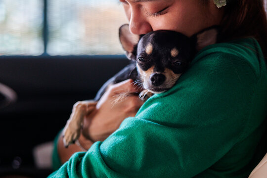 Woman tenderly embraces her beloved chihuahua dog in car