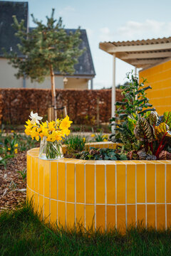 spring in garden