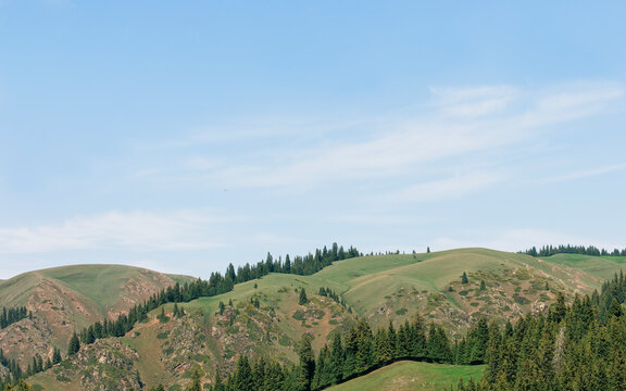 Ridges Beneath Cloud Shadows: Rolling Emerald Hills.