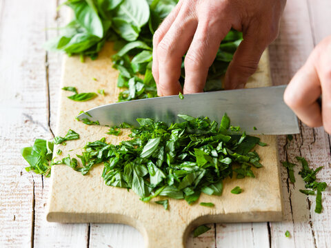 Hands chop fresh basil leaves to make pesto sauce in the kitchen