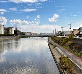 Obraz premium River and Urban Landscape with Bridge, Airplane and Bird