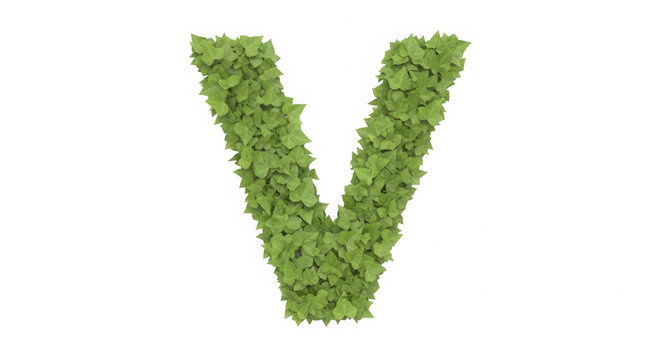 Letter V made of fresh green leaves isolated on transparent background