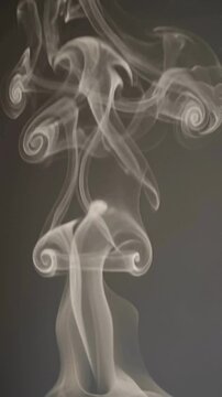 Whimsical ballet of ethereal white smoke swirls and delicate tendrils dancing upwards in an abstract, organic, and fluid motion against a dark, moody background.