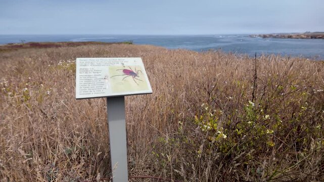 Sign shows tick dangers and prevention tips for visitors entering the grassy area in Fort Bragg, Mendocino County, California
