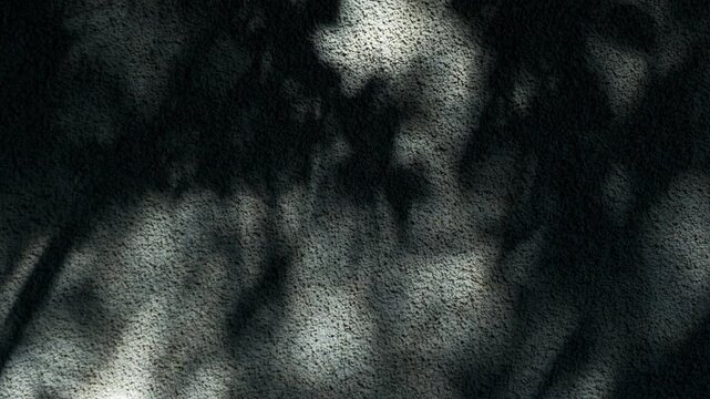 陰影が織りなす静けさ、外壁に揺れる深緑の葉影と木漏れ日