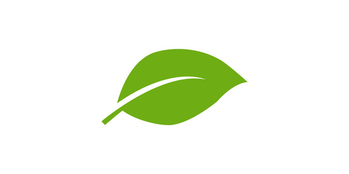 Green leaf nature icon isolated on transparent background for eco friendly branding and design