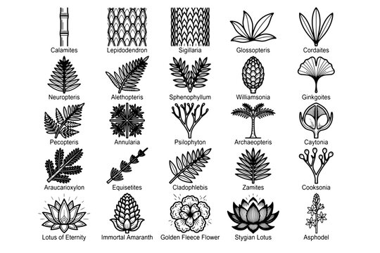 A collection of stylized botanical illustrations showcasing diverse ancient flora, including ferns, trees, and flowering plants, with Latin names.