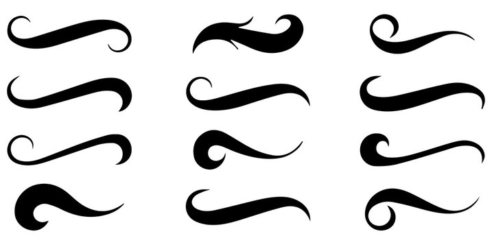 Black swooshes and swirls with text swash elements. Vector typography designs on white background. Text underline decoration set with decorative flourishes and artistic calligraphy ornament set