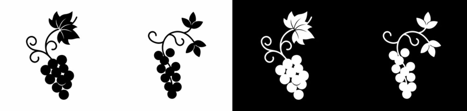 grapevine illustrations with leaves for branding and design projects featuring transparent backgrounds
