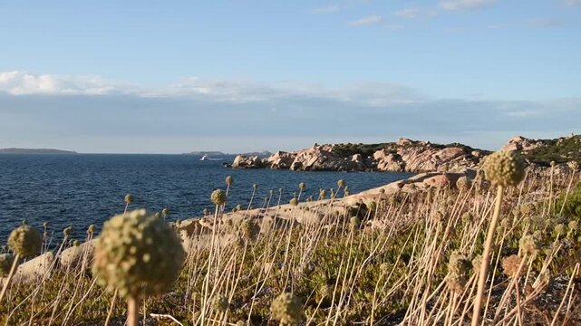 View of the rocky landscape with the coast of La Maddalena Island at sunset, Sardinia, Italy.
