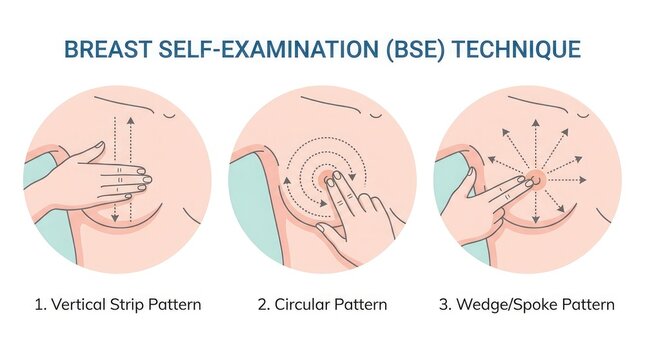 Understanding breast self examination bse techniques a comprehensive guide for early detection and promoting proactive breast health awareness during october's campaign