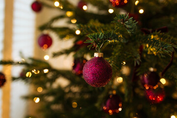 Naklejka premium Beautiful vertical video of a shiny purple bauble decorating a green Christmas tree with magical shimmering golden fairy lights in the background.