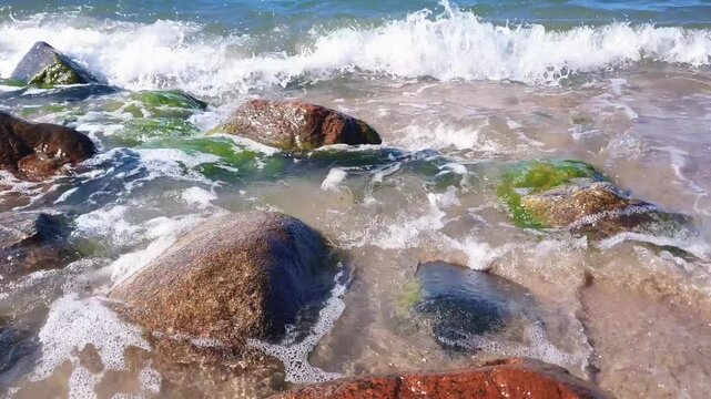 Close-up of foamy coastal surf with clear stormy sea waves crashing on wet stones and seaweed covered rocks on sand beach of Baltic sea at sunny day. Seaside water surface pattern natural background.
