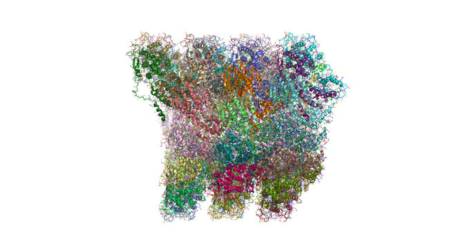 Measles virus helical nucleocapsid protein, side view 3D molecule 4K