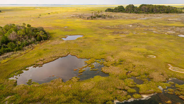 Drone view of lowcountry wetlands with ponds and marshland during daytime