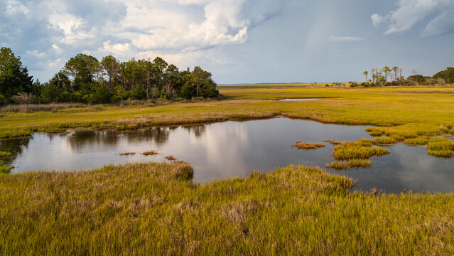 Drone view of lowcountry wetlands showing water and grass areas under a cloudy sky