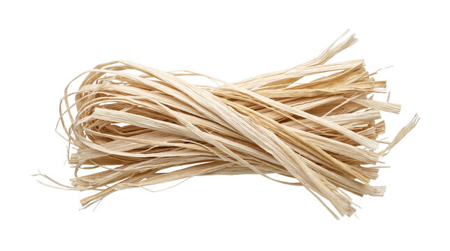 Neatly gathered bundle of natural light brown dried raffia fibers