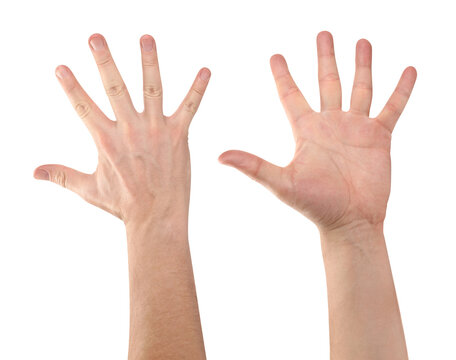 Set of open male hands showing front and back palms, isolated on transparent cutout background
