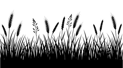 Silhouette of grass and wheat ears © MstSuma