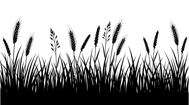 Silhouette of grass and wheat ears