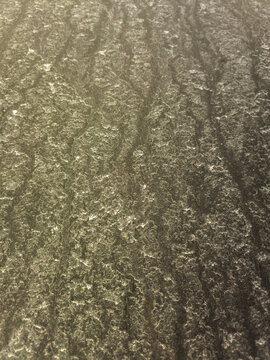 Dust and pollen after rain on car bonnet closeup