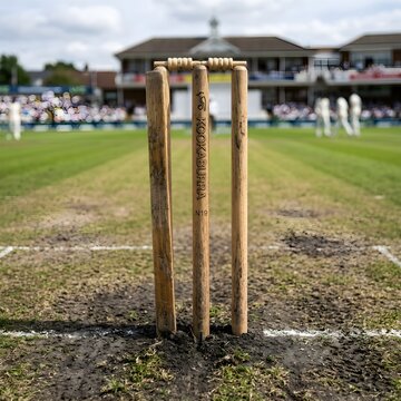 Wooden cricket stumps and bails on green grass pitch, traditional cricket wickets on sports field ground, outdoor athletic equipment