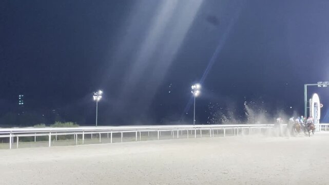 Carrera de caballos nocturna en hip&oacute;dromo pelot&oacute;n de noche pura sangre galopando en oscuridad pista de arena grupo h&iacute;pica