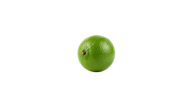 Single fresh green lime isolated on white background