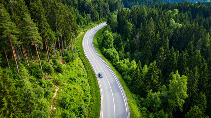 Fototapeta premium Winding road through lush green forest with a passing car on a sunny day