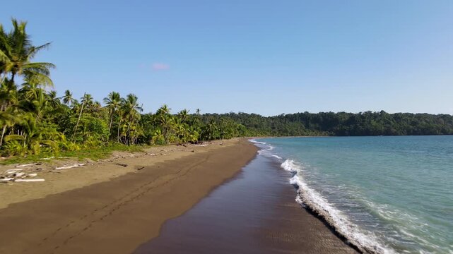 Low Drone Flight Along the Playa Rinc&oacute;n de San Josecito Beach, Osa Peninsula, Costa Rica. White sea foam from waves washes over long sandy beach, lined with palm trees and dense tropical jungle.