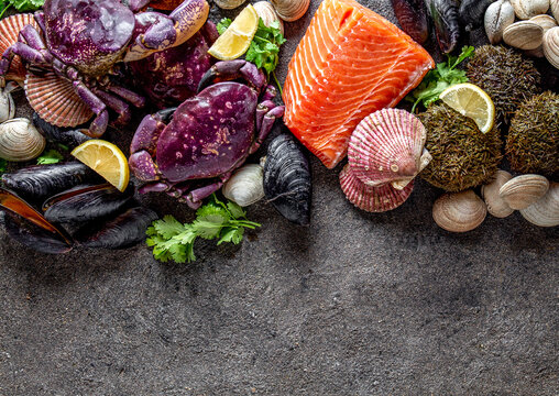 Fresh salmon, crabs ostions clams mussels, seaweed cochayuyo, sea urchins. Food background with copy space