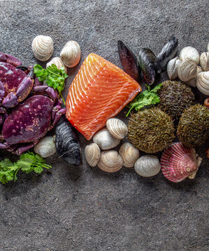 Fresh salmon, crabs ostions clams mussels, seaweed cochayuyo, sea urchins. Food background with copy space