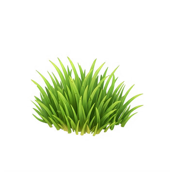 Green grass tuft isolated on transparent background vector illustration