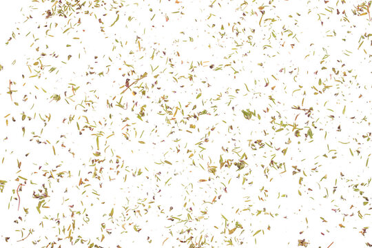 Chopped dry thyme flying, isolated on white background, clipping path