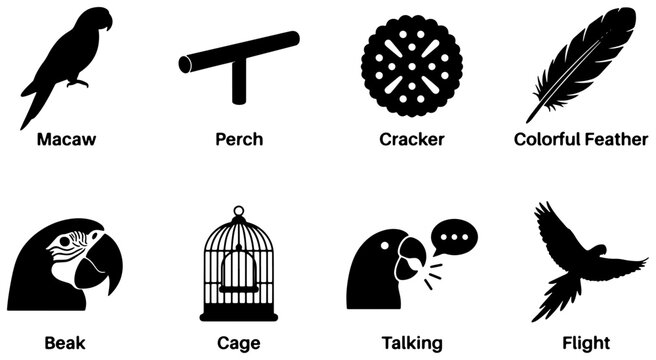 Parrot Icons Set: Macaw Silhouette, Perch, Cracker, Feather, Beak, Cage, Talking, and Flight Graphics