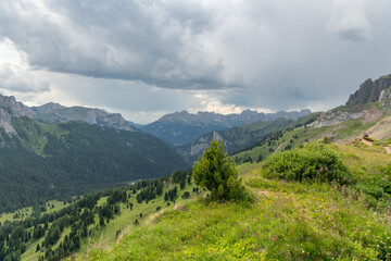Fototapeta premium San Giovanni di Fassa, Italy. Alpine hiking trail through wildflower meadow overlooking the Dolomites under dramatic storm clouds