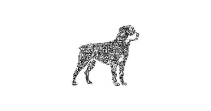 Sketch rottweiler icon animation - smooth progressive reveal