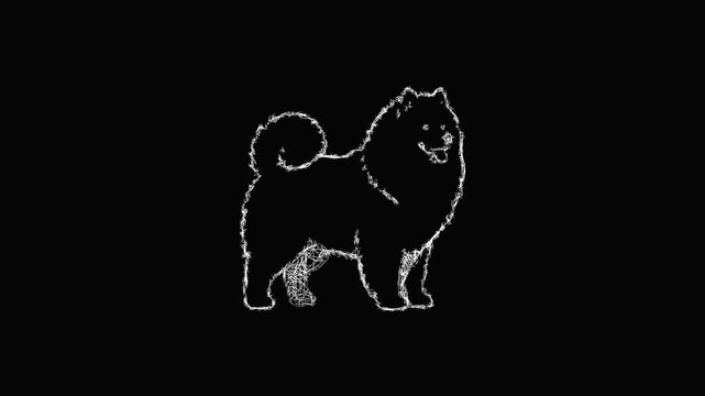 Sketch samoyed icon animation - smooth progressive reveal