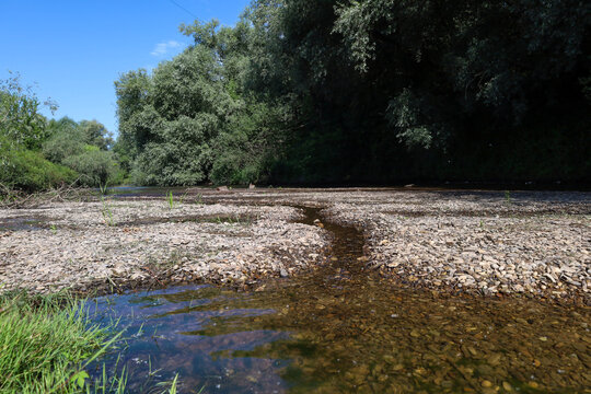 A narrow trickling stream cuts through a broad pebble shoal in a forest river. Clear transparent water washes over the stony bottom under bright sunlight.