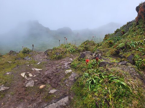 Volcan de la Soufri&egrave;re, Guadeloupe
