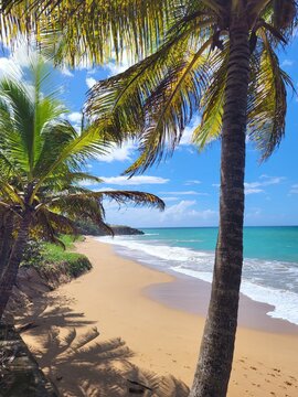 Plage de la Perle, Guadeloupe