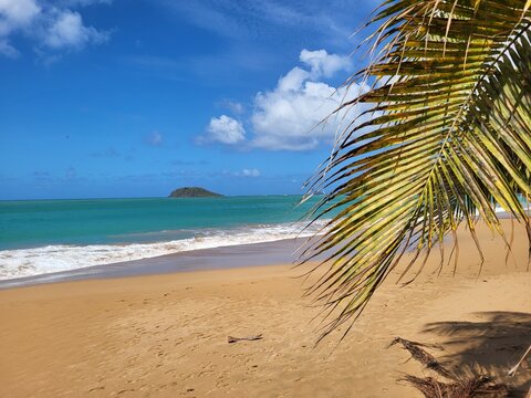 Plage de la Perle, Guadeloupe