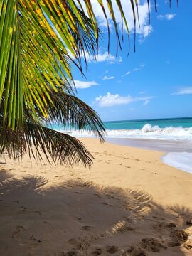 Plage de la Perle, Guadeloupe