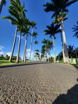 All&eacute;e Dumanoir, Guadeloupe
