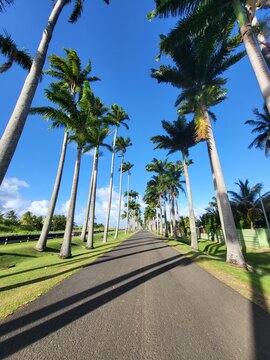 All&eacute;e Dumanoir, Guadeloupe
