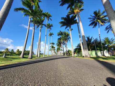 All&eacute;e Dumanoir, Guadeloupe