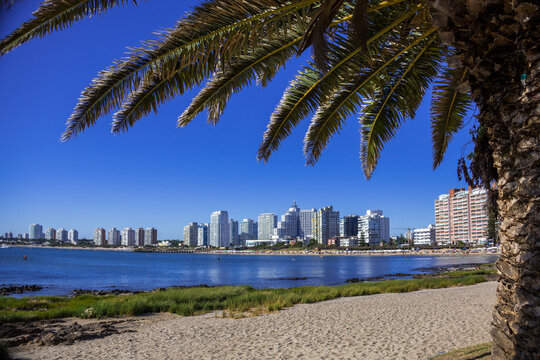 Playa Mansa, Punta del Este