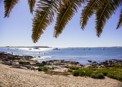Playa Mansa, Punta del Este